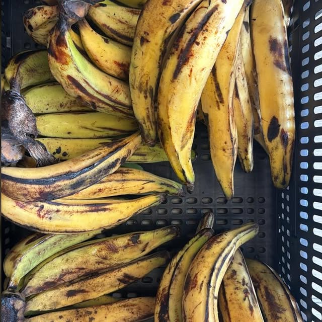 Plantain