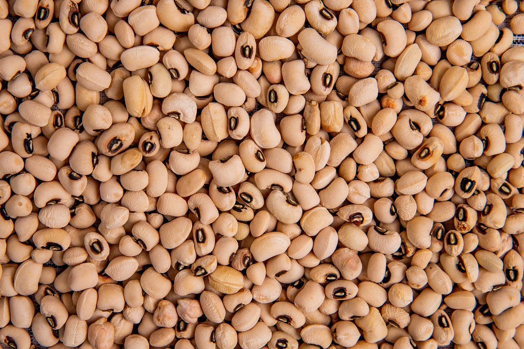 Honey Beans [Brown, Medium]