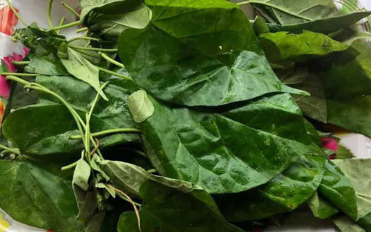 Uziza Leaf 0.02kg