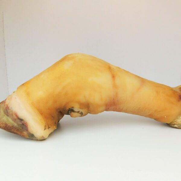 Cow Leg